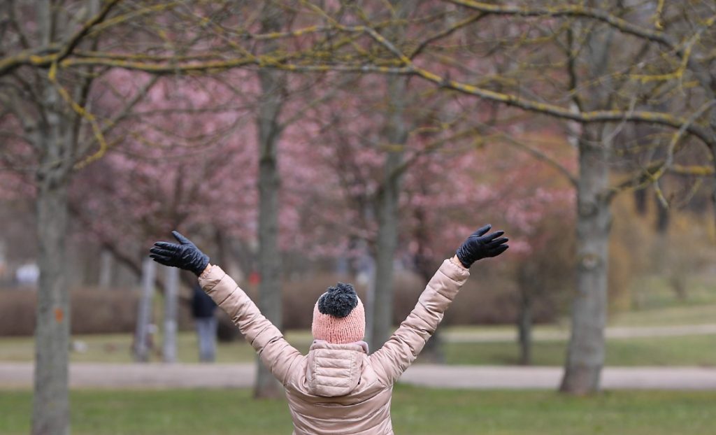 
Foto: Evija Trifanova/LETA
