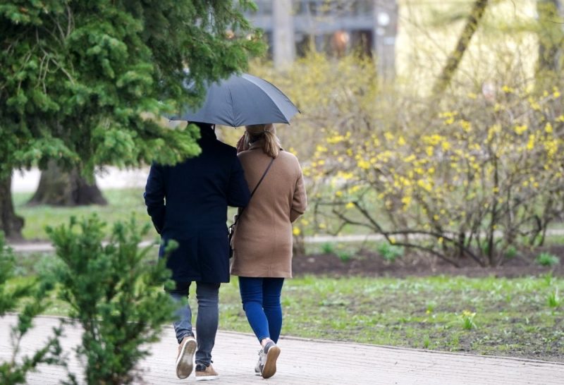 
Ilustratīvs foto. Rīga, Vērmanes dārzs.
