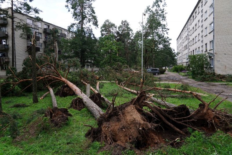 
Vētras postījumi Dobeles novada Gardenē, 2023.gada augustā.
