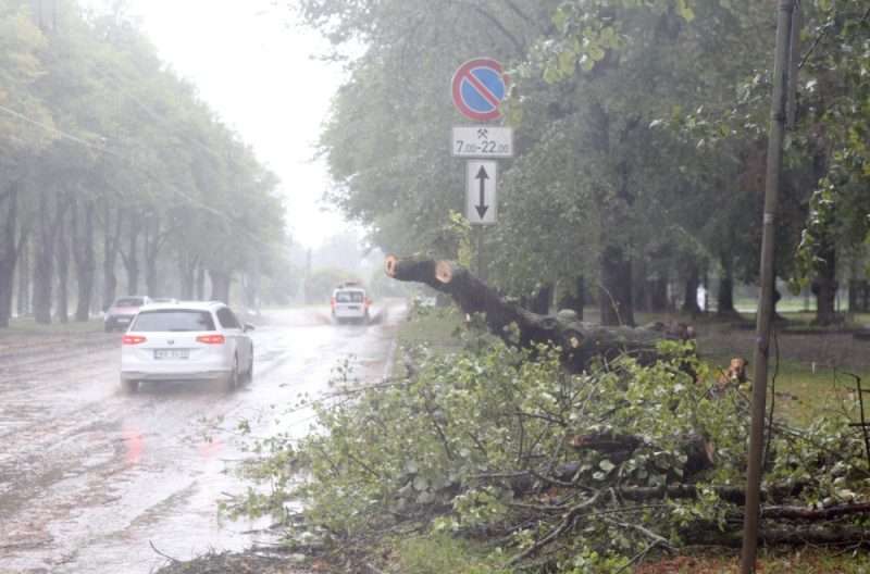 
Vētras postījumi Rīgas parkos, dārzos, mežsaimniecībās un ielās, 29.07.2024.
