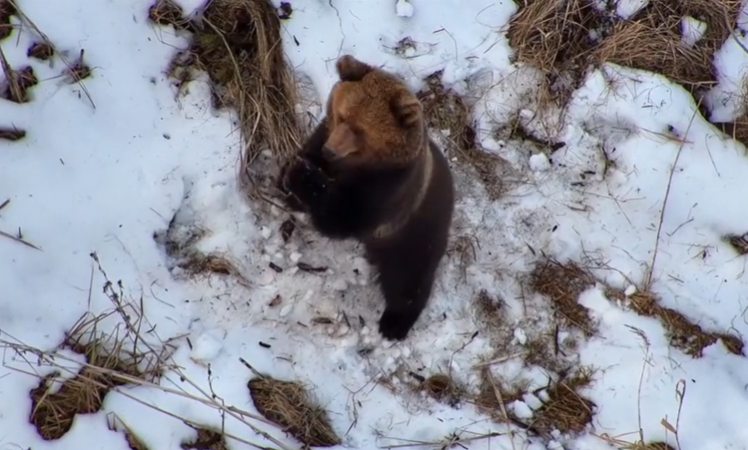 
Скриншот с видео
