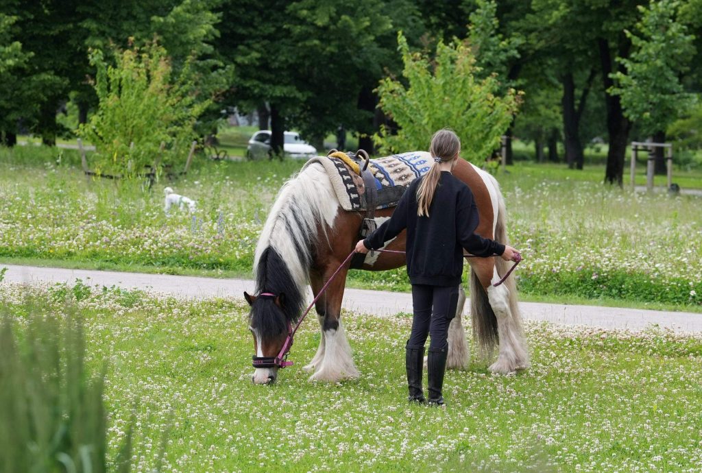 
Foto: Evija Trifanova/LETA

