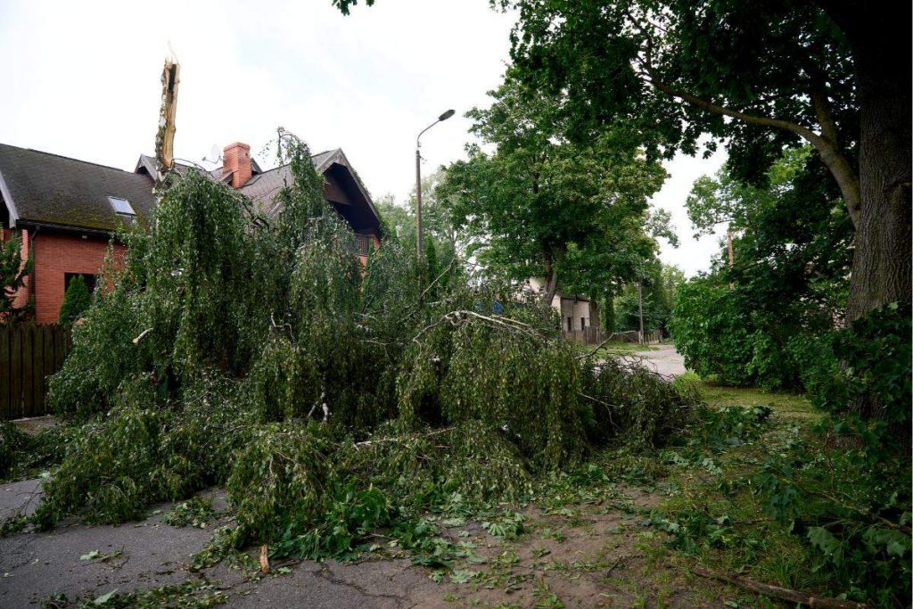 
Rīga pēc augusta vētras, 2026. gads
